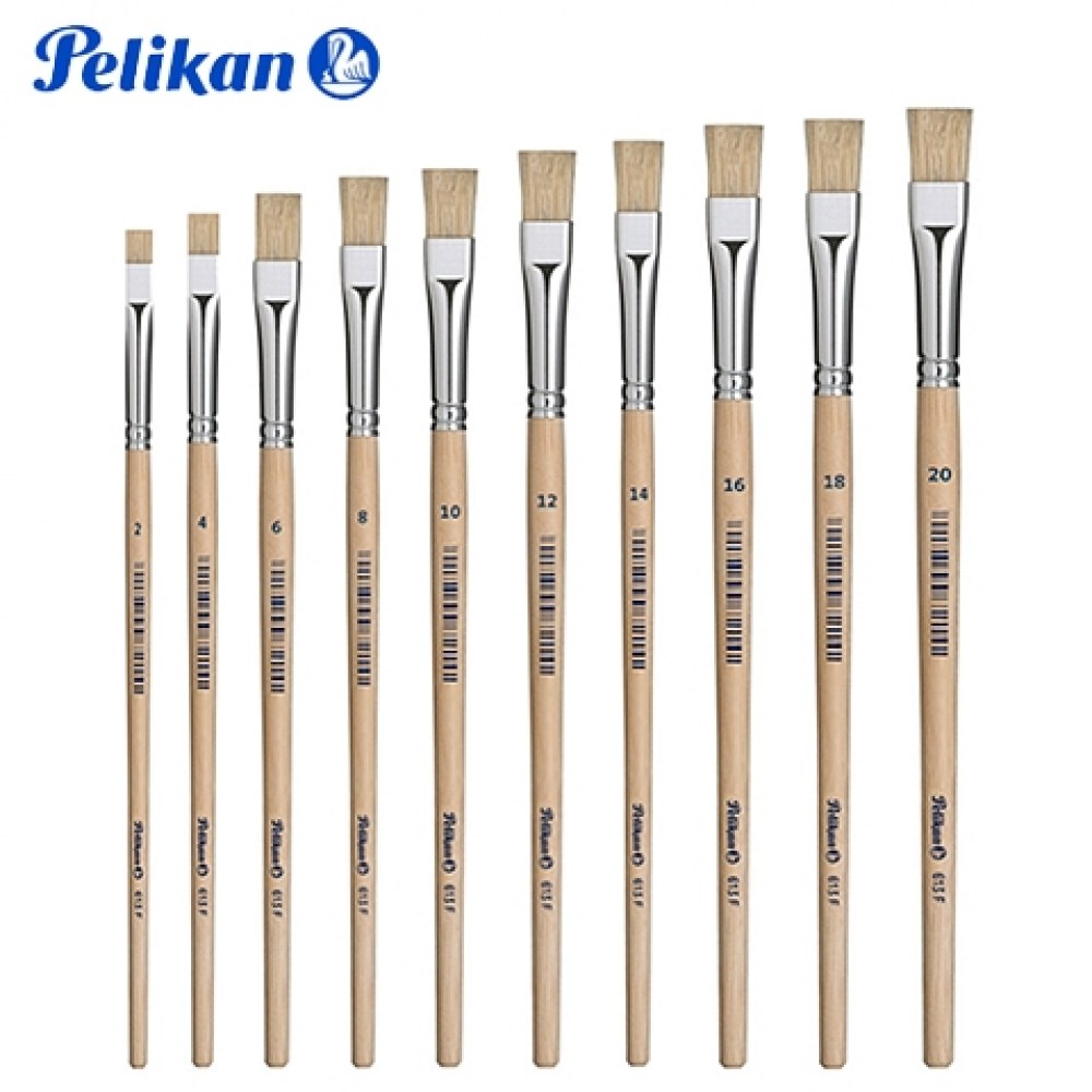 Pelikan S613F all1
